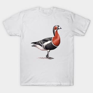 Red-breasted Goose T-Shirt